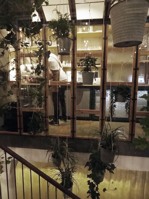 Decorar con plantas colgantes