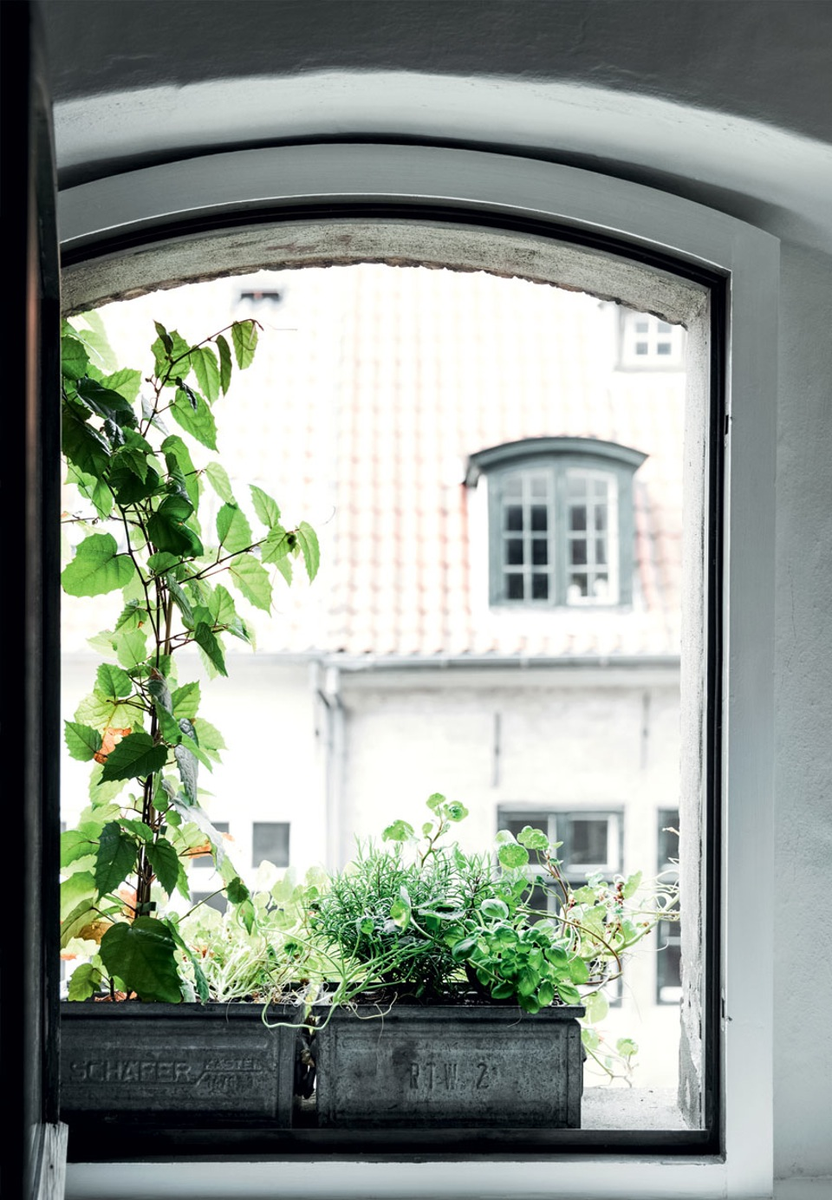 06-jardineras-minihuerto