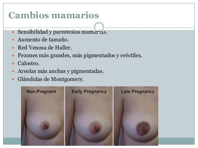 semiologa-obsttrica-8-638