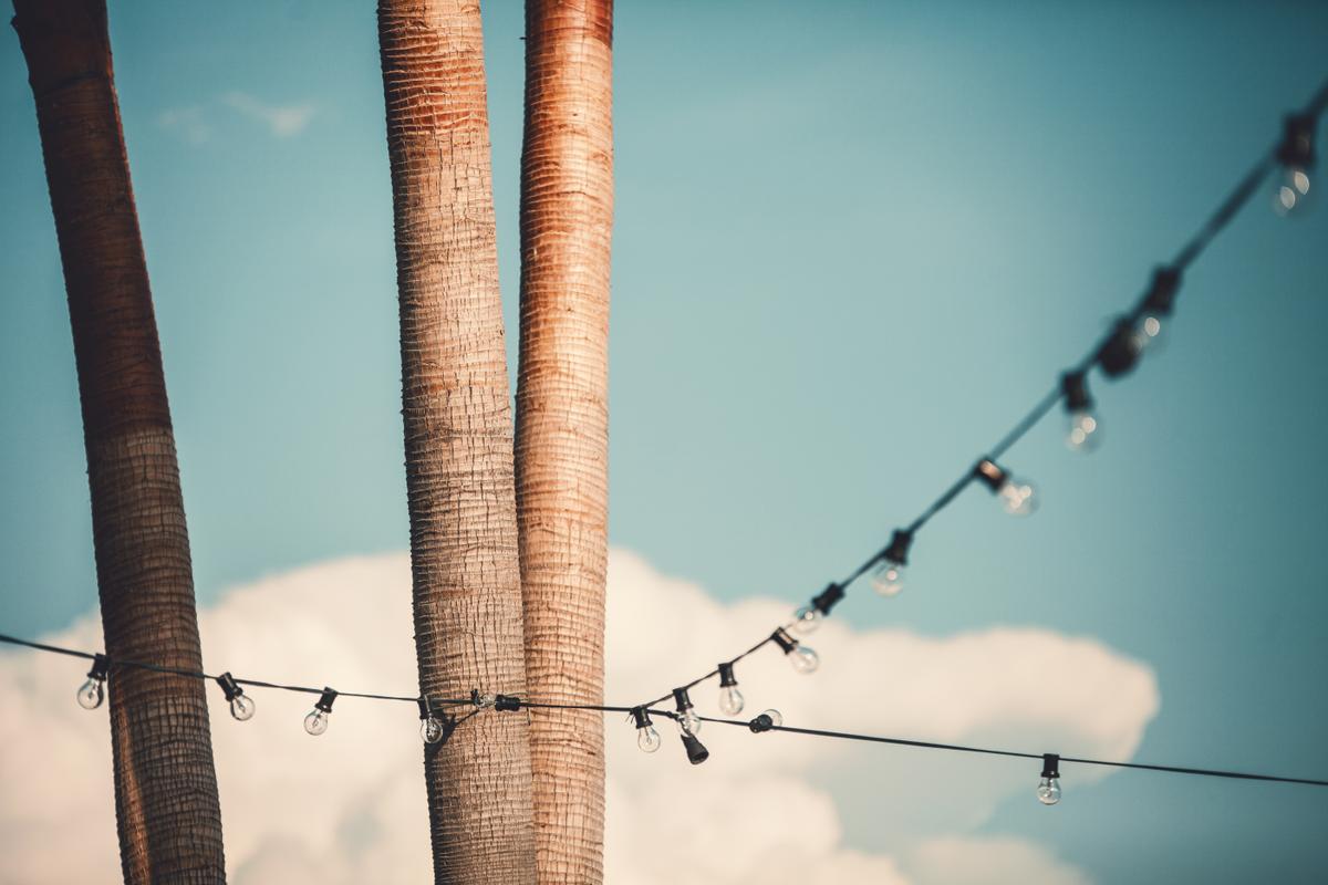 S&M by Fonteyne&Co433