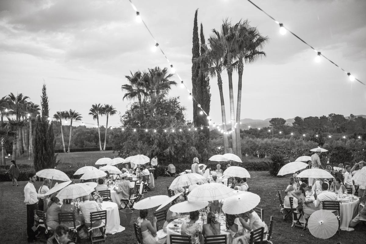 S&M by Fonteyne&Co513