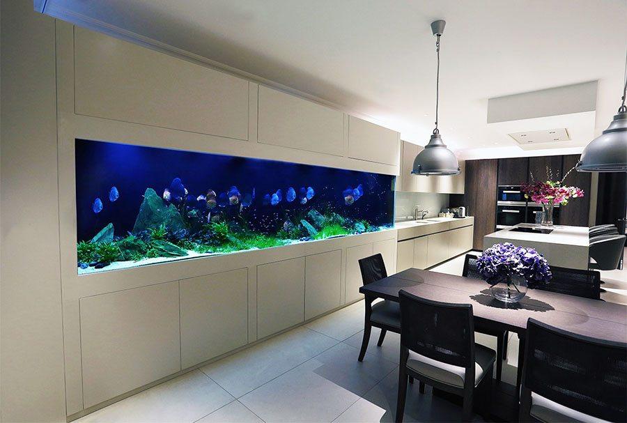 decorar con acuarios aquarium architecture pared