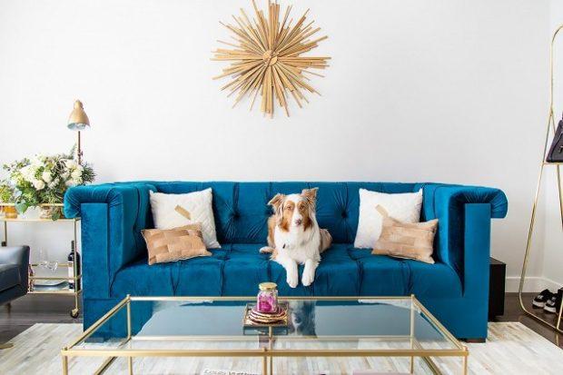 blue sofa living room