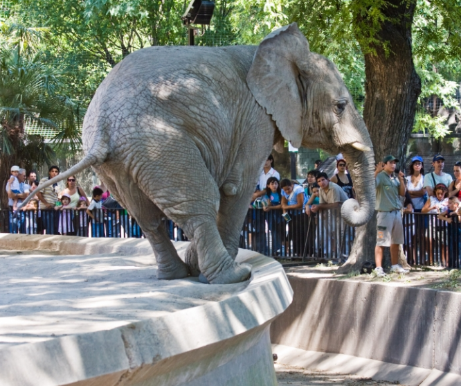 zoo argentina