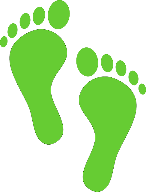 como hacer arroz chino 1