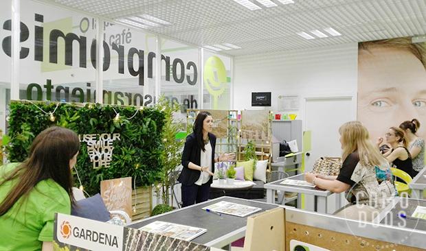 decoradores valladolid