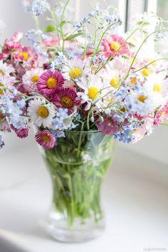 7edbc8eab29cbcef2c32fbc989bc8f1c