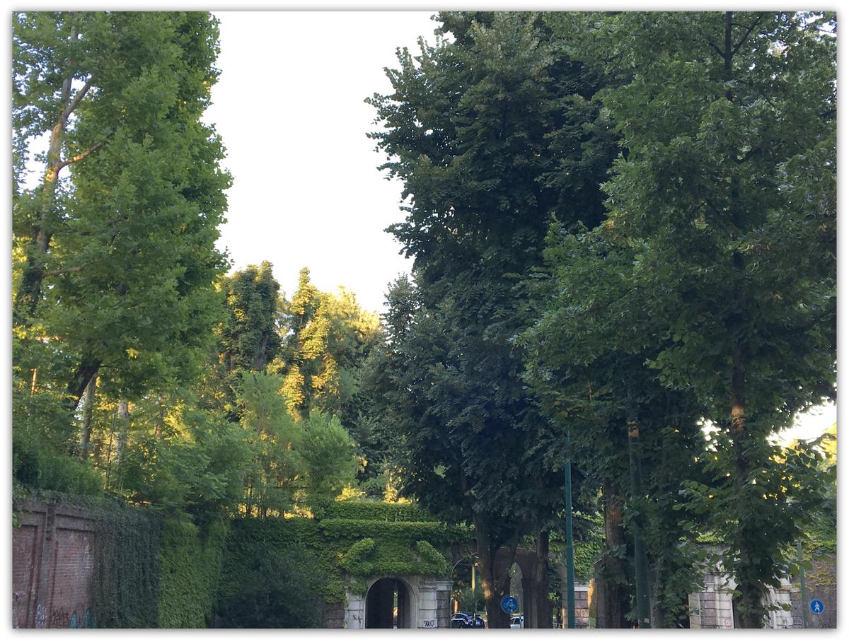 Puente parque