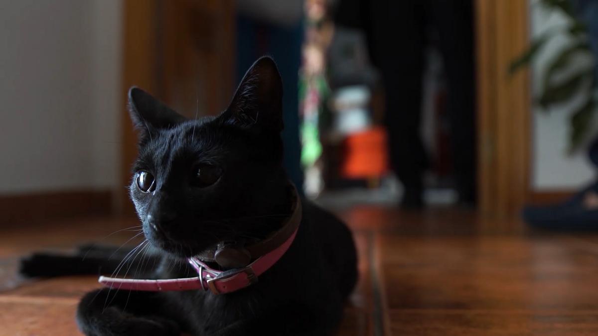 Boda Carmen y David (6)