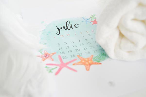 AllYourSites-DESCARGABLE de JULIO-2