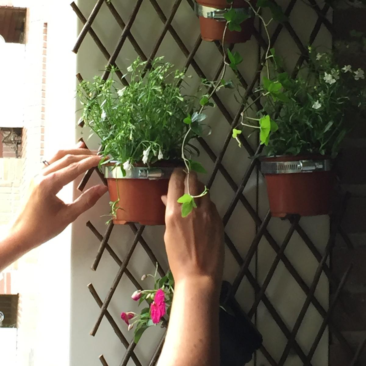 colgamos las plantas