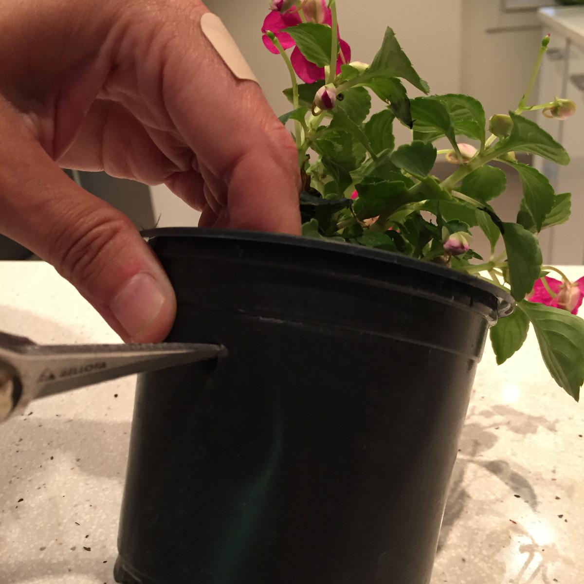 hacemos agujero en el tiesto