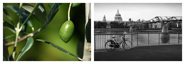 La regla de los tercios