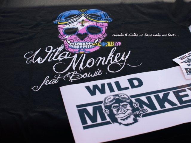 Wild Monkey