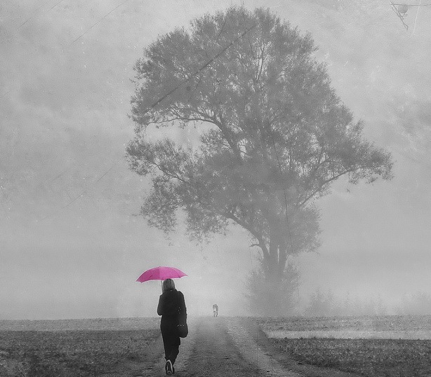 paliar los efectos de la menopausia