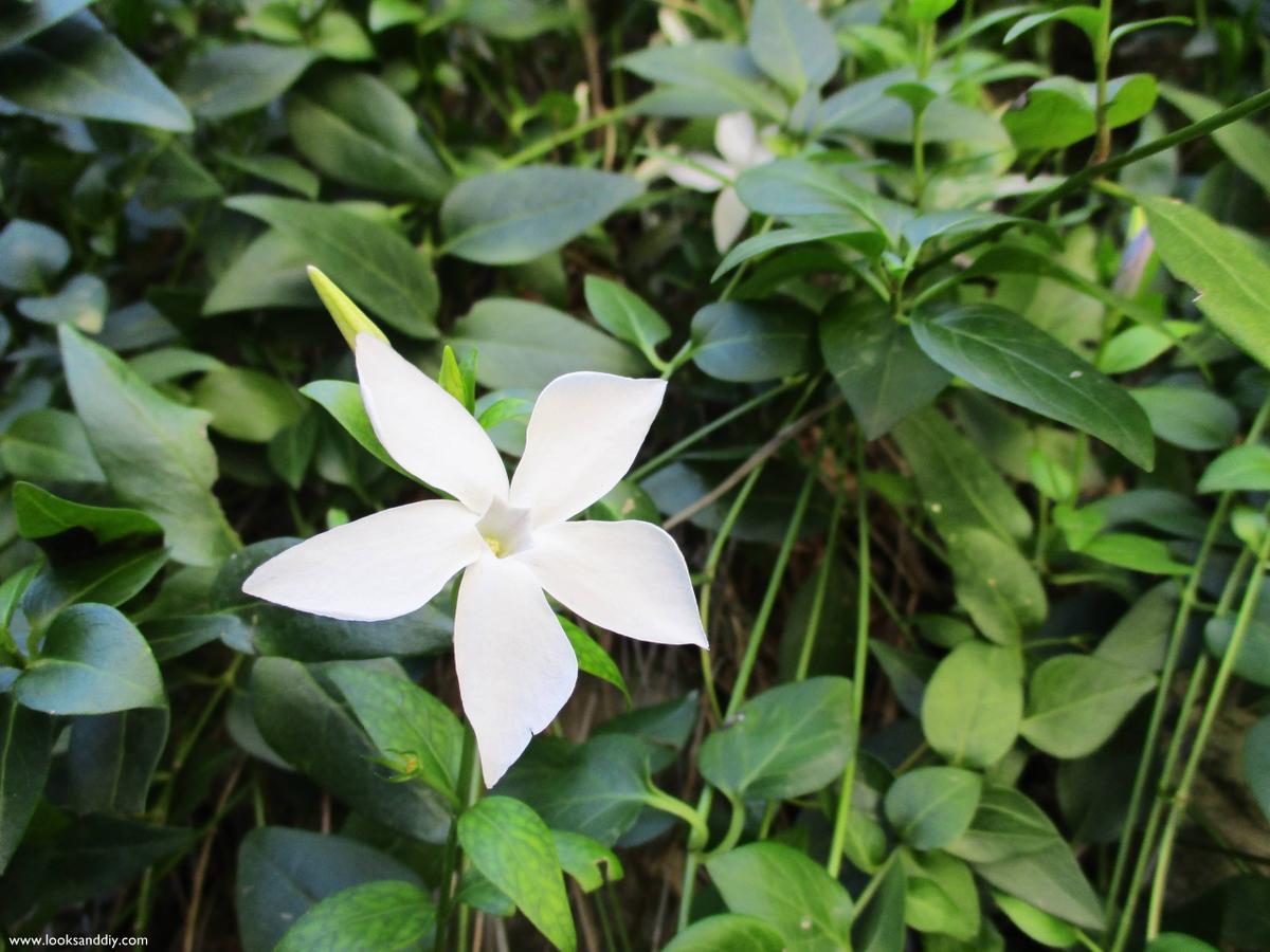 5 Turisteando Alquezar-min