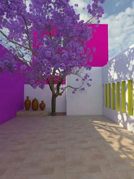 6 errores al elegir pintura, patio