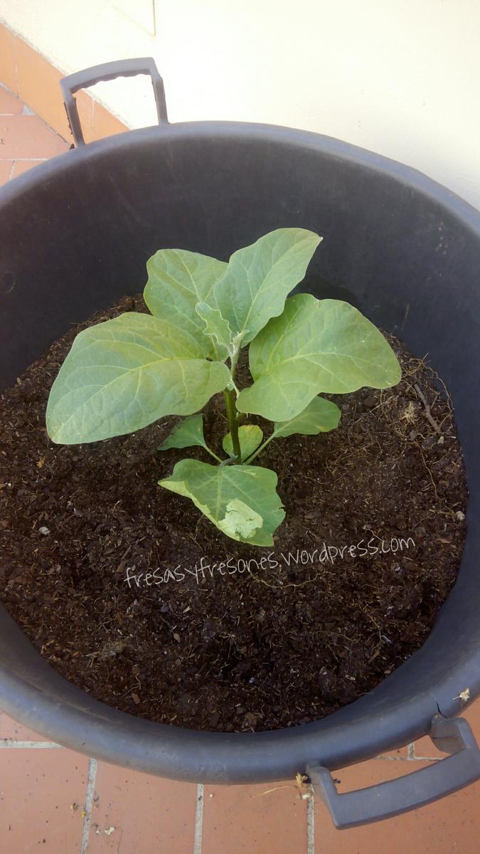 9acab3fe-02c4-4f1a-bc90-d51addf40e7d