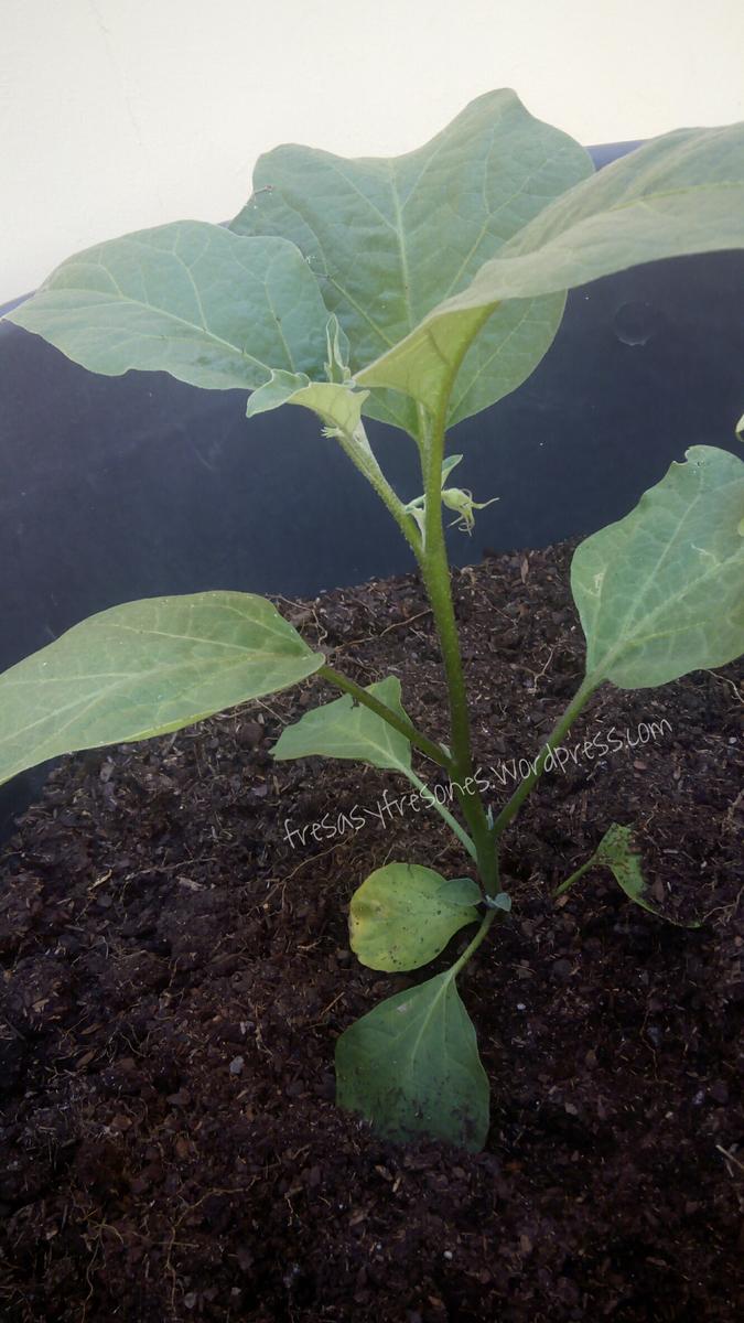 c56675b7-fb38-492d-93de-3428962581a1