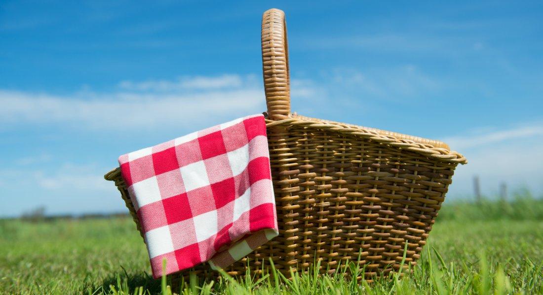 picnic2