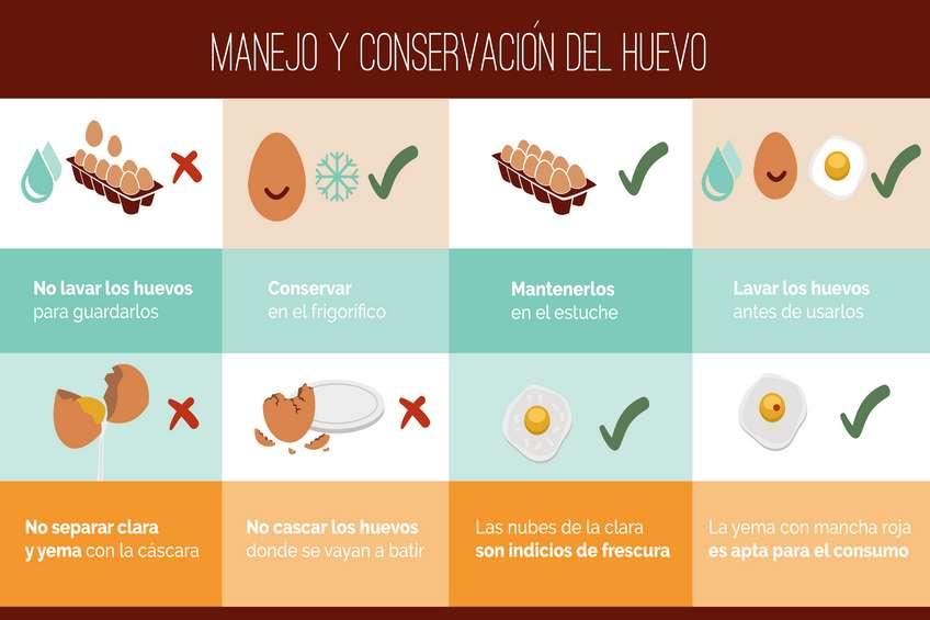 Manejo_Conservación_Huevo.jpg