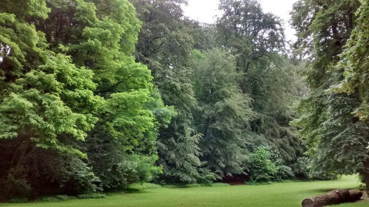 IMG_20160619_134749197_HDR