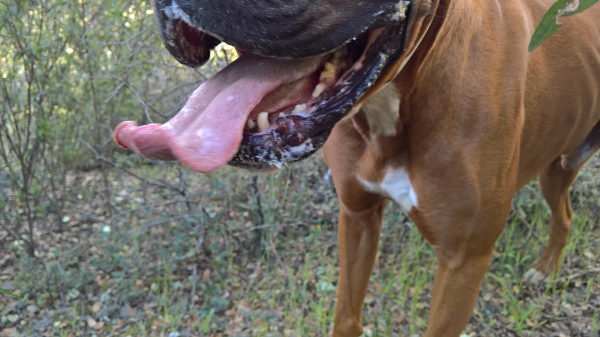 WP_20160504_09_24_16_Rich