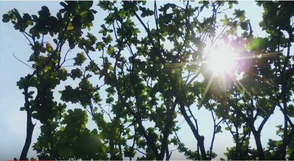 agua energizada por el sol