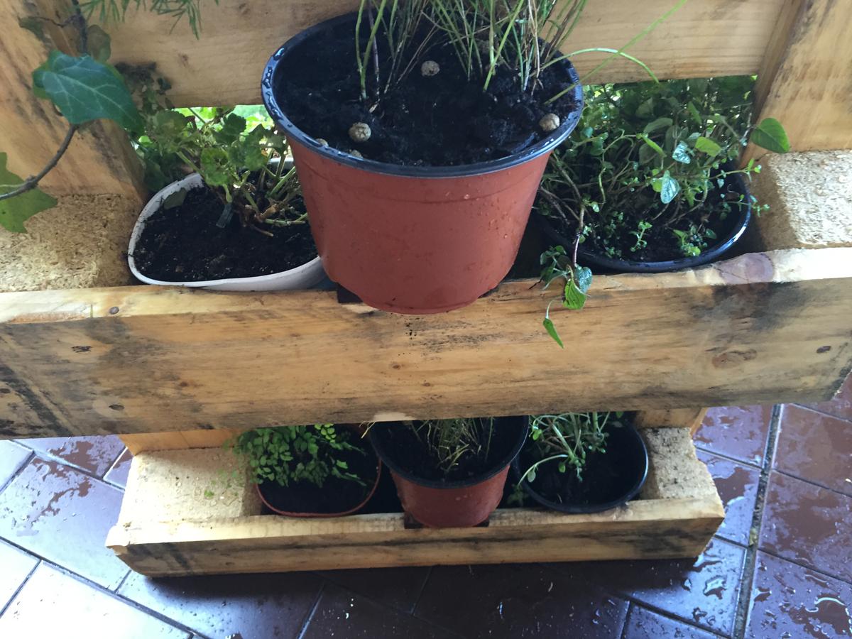 colocamos unas tablas en lo niveles intermedios y colcamos un tiesto sobre las tablas