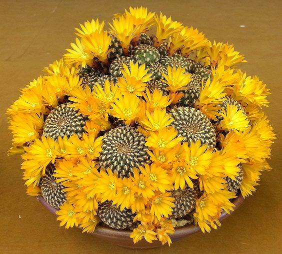 90098d911ef3e99f312ae7875d4e7970