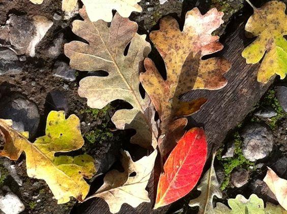 92307dc7456e3a25f75ae171b4879ab0