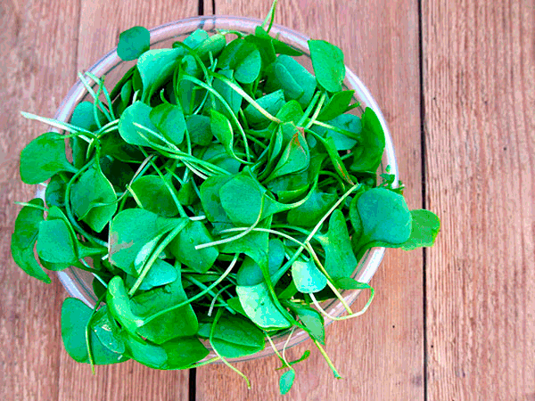 berros-ingrediente-saludable