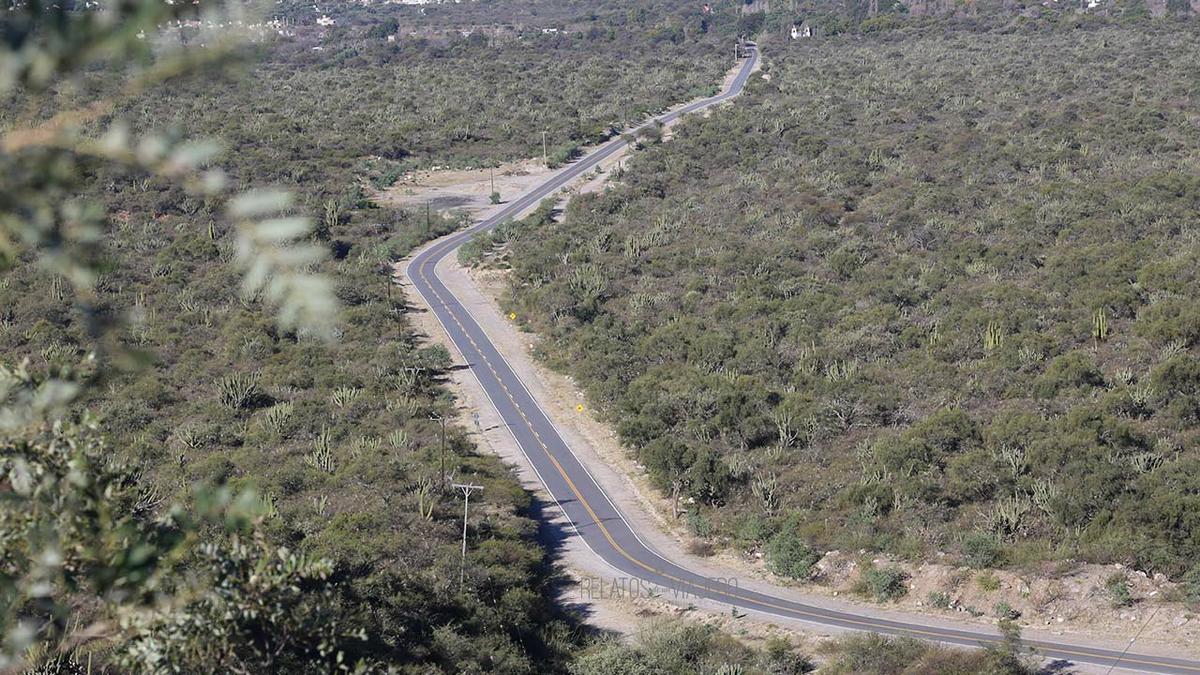Cuesta de los Angeles - Catamarca