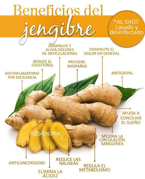 jengibre