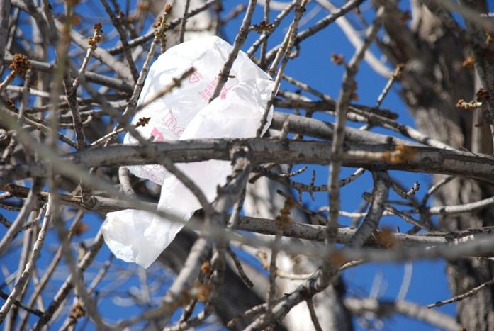 Foto: JobotDaRobot via Flickr (CC BY-SA)