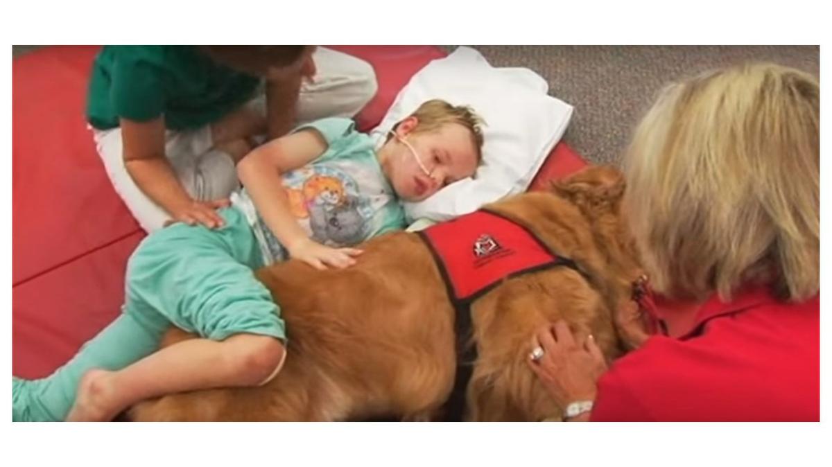 la_historia_de_caleb