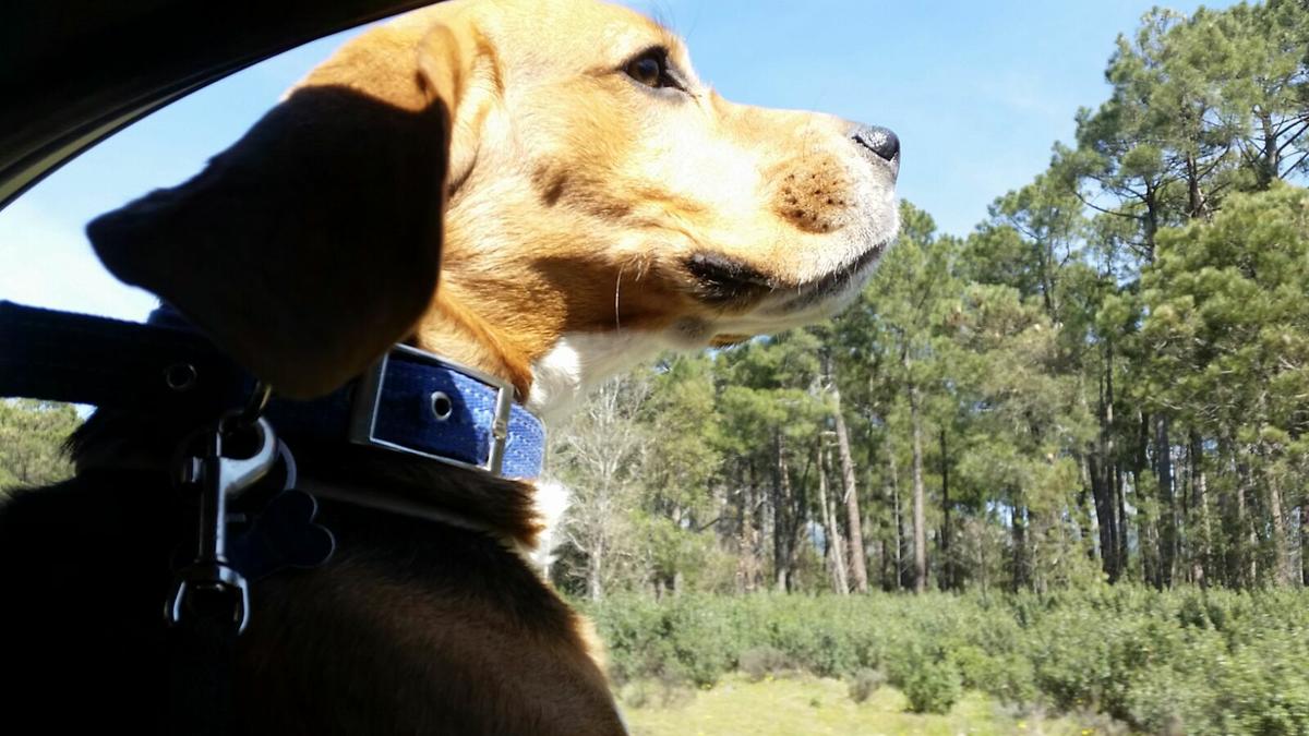 WhatsApp-Image-20160622