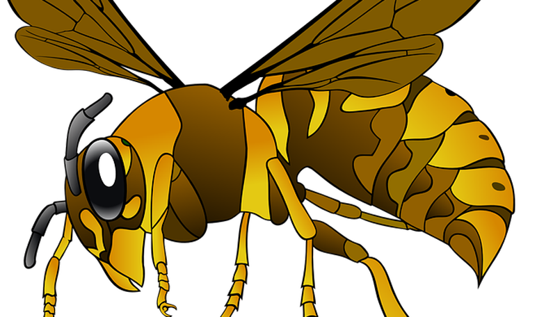 Aspirina para las picaduras de abeja