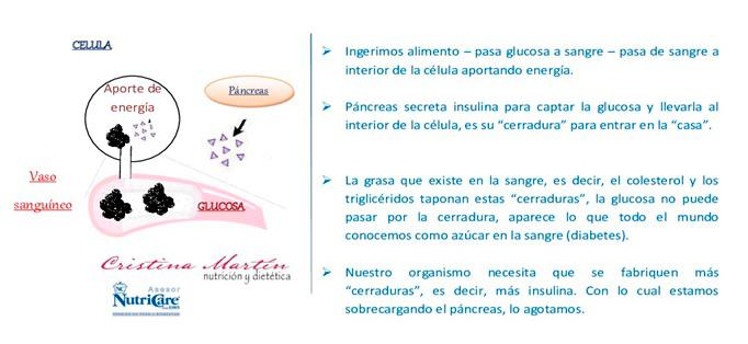 METABOLISMO CELULAR