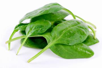 pic_spinach1