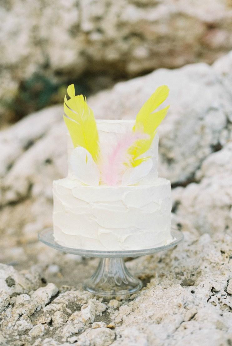 Una fiesta infantil: Indian pary