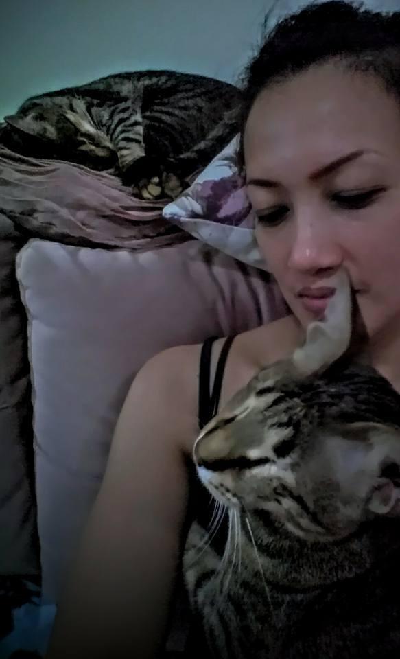 Catalina adopto a tres gatos ciegos