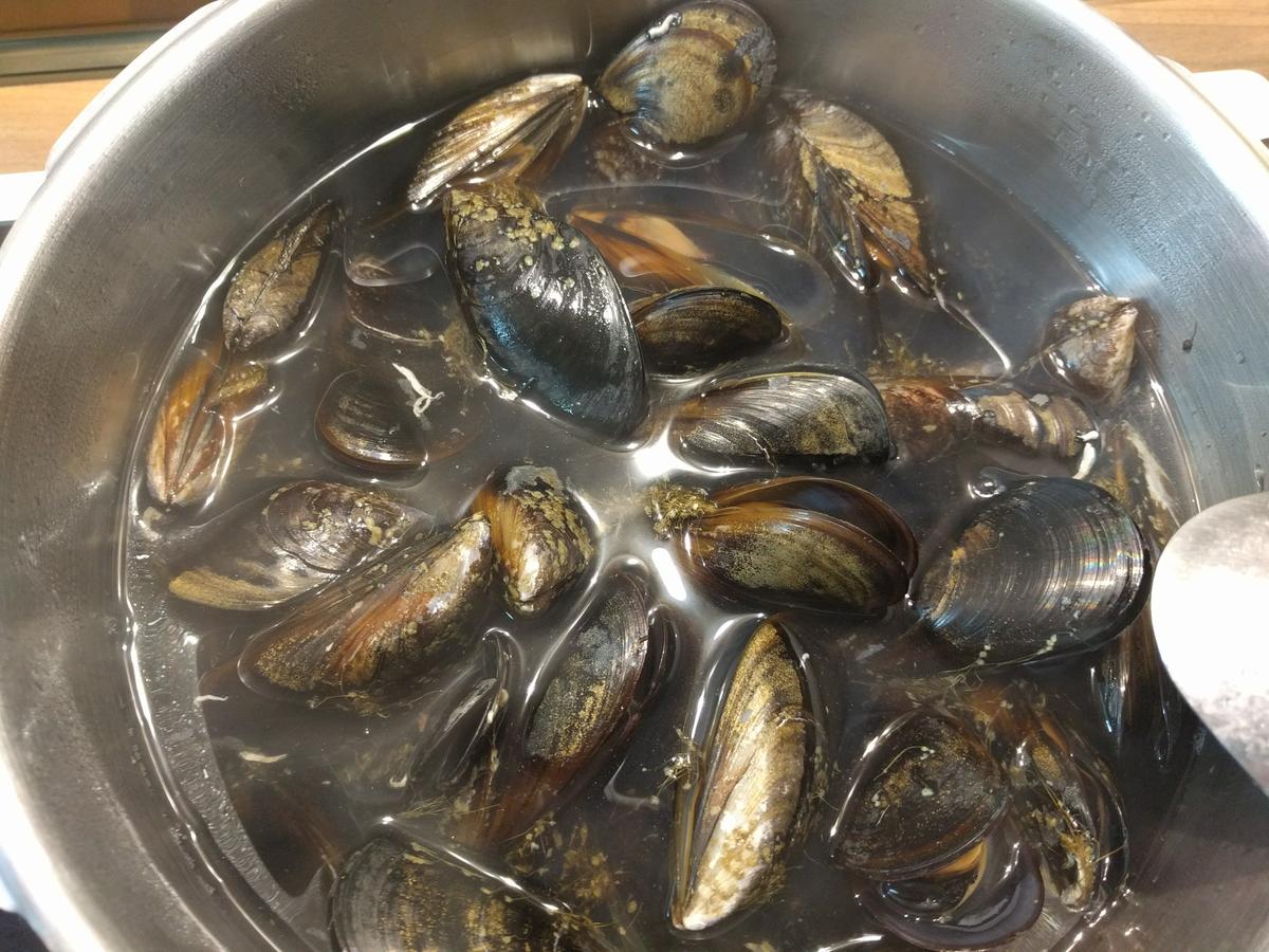 mejillones hirviendo