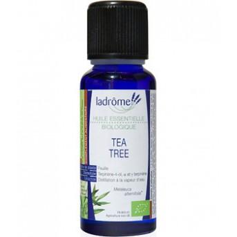 aceite-esencial-arbol-de-te