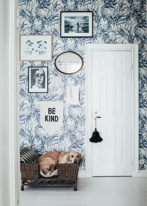 pet bed