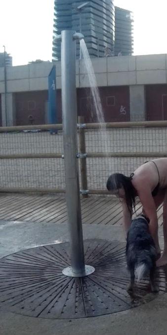 ducha-playa-para-perros