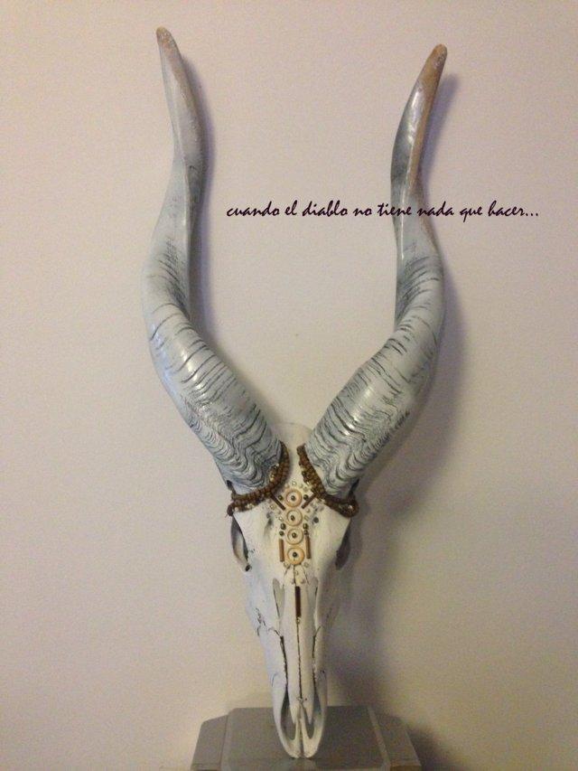 Img_6323 (FILEminimizer)