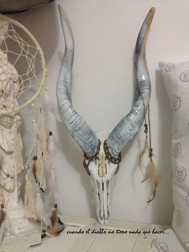 Img_8077 (FILEminimizer)