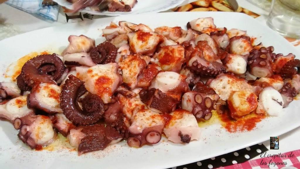pulpo