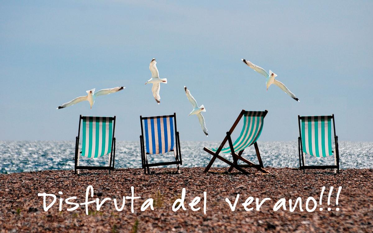 disfruta-del-verano.jpg